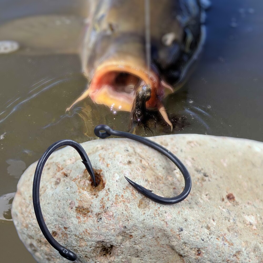 Hirisi 잉어 낚시 후크, PTFE 코팅, 고탄소강 - Fishing Hook Assortment 리뷰 및 가격