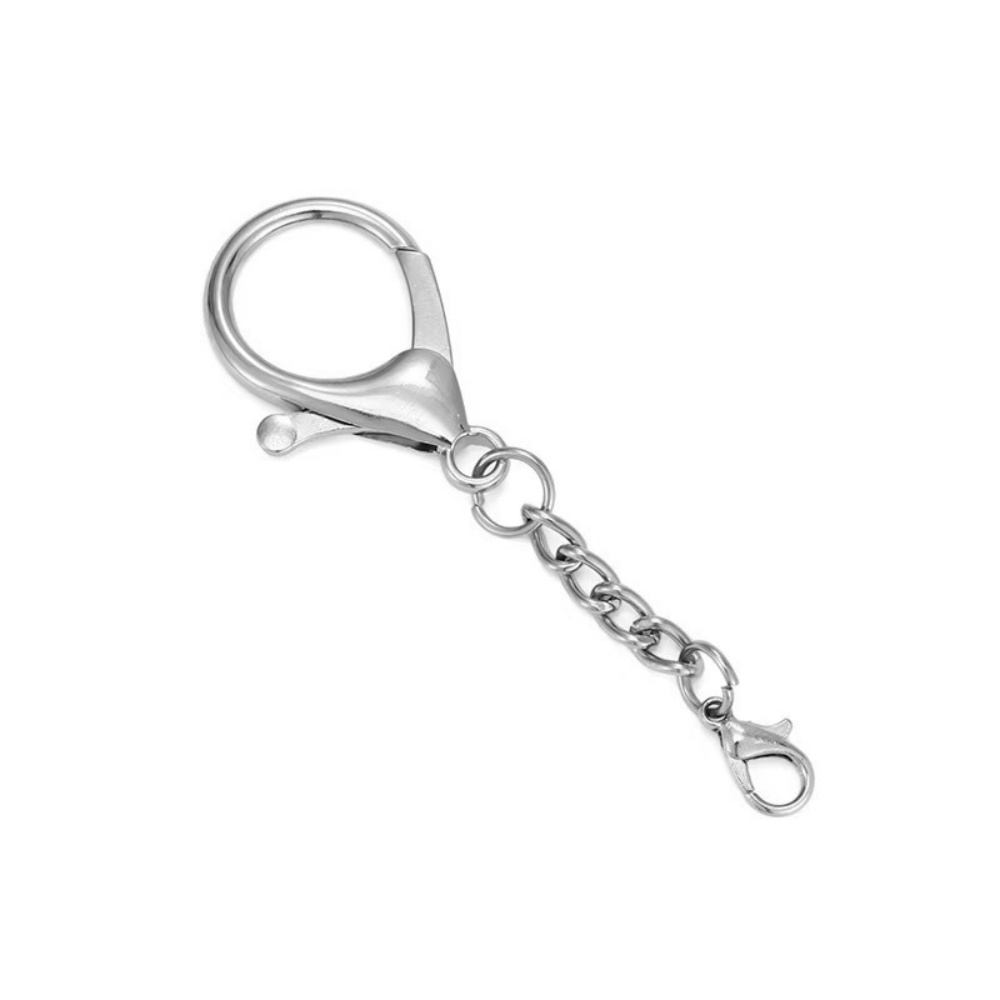10Pcs 실버 컬러 대형 랍스터 걸쇠 합금 키체인,  - Fishing Hook Size 리뷰 및 가격